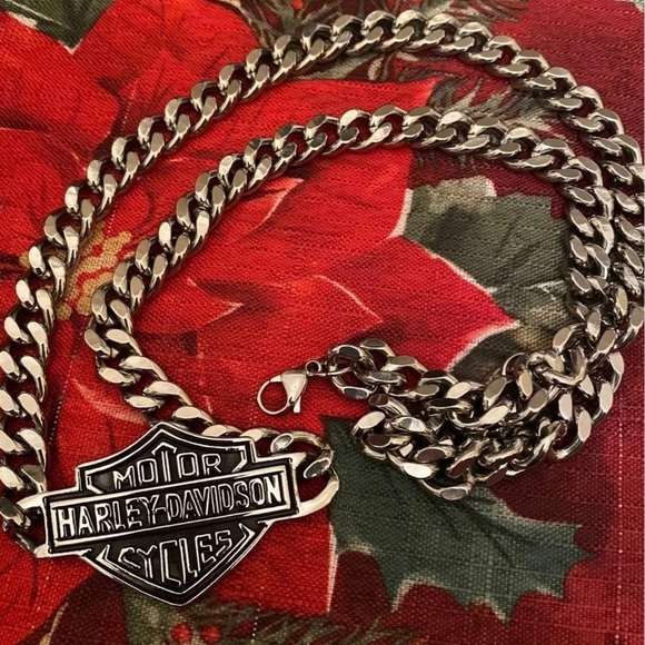 - Limited Harley Big Chain - Picture 2 of 3